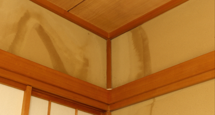 天井・壁紙のシミ